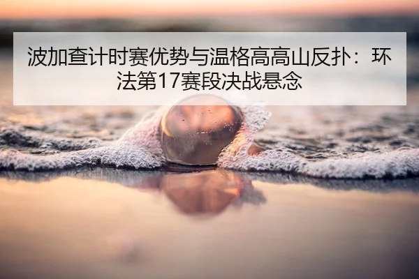 bo-jia-cha-ji-shi-sai-you-shi-yu-wen-ge-gao-gao-shan-fan-pu-huan-fa-di-sai-duan-jue-zhan-xuan-nian-2-179.jpg