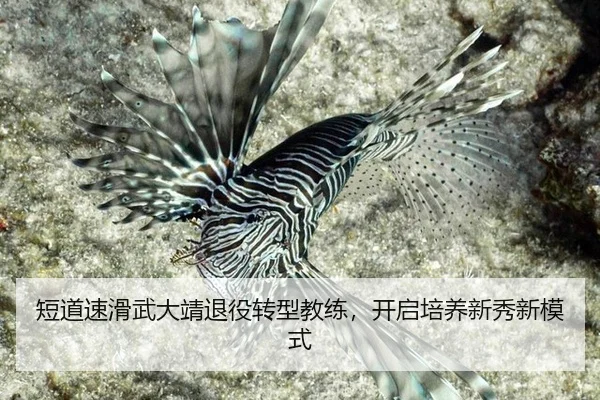 duan-dao-su-hua-wu-da-jing-tui-yi-zhuan-xing-jiao-lian-kai-qi-pei-yang-xin-xiu-xin-mo-shi-3-873.jpg